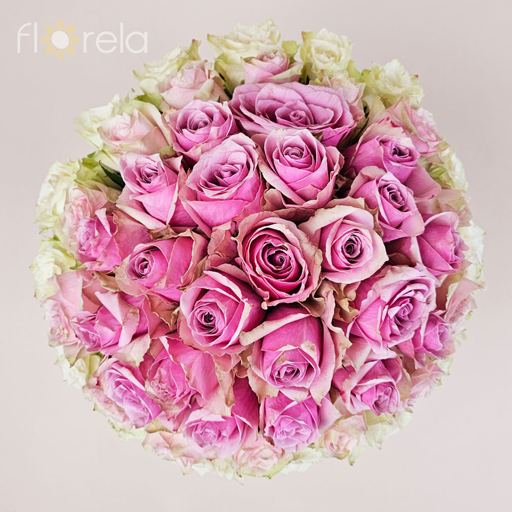 Luksuzna ombre magija u kutiji - Slika 4