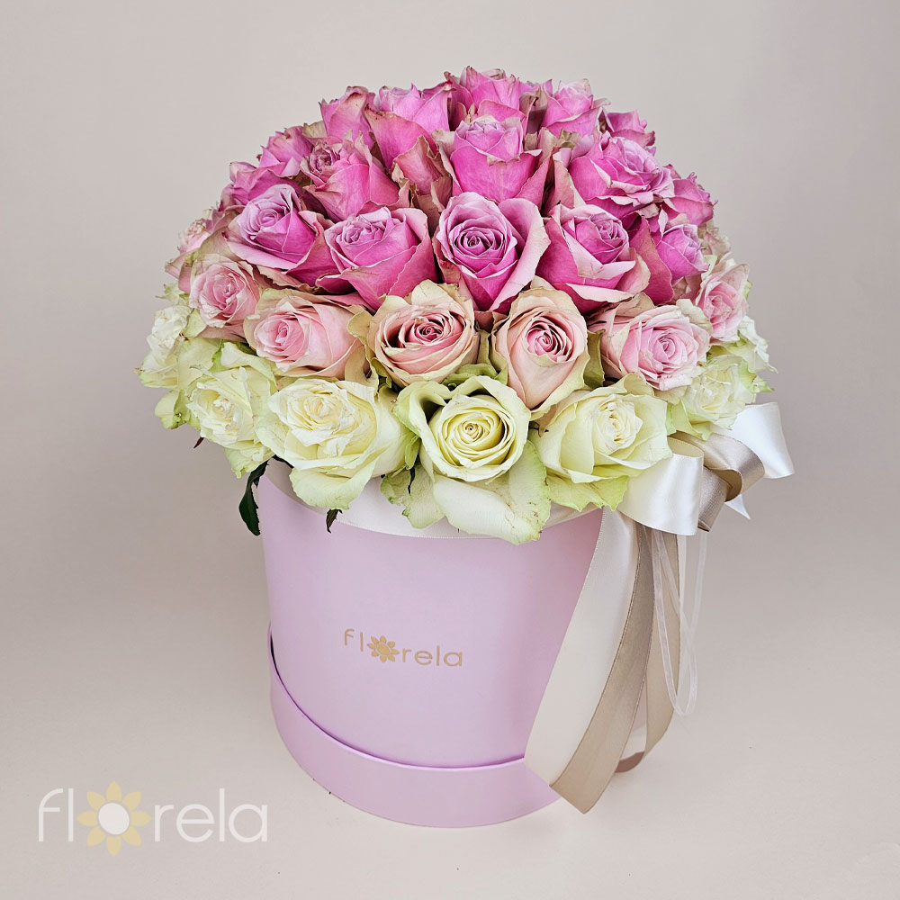 Luksuzna ombre magija u kutiji - Slika 2