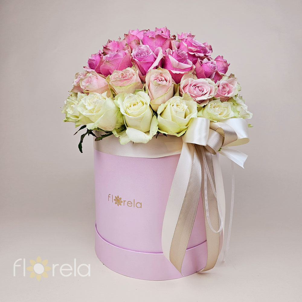 Luksuzna ombre magija u kutiji - Slika 3