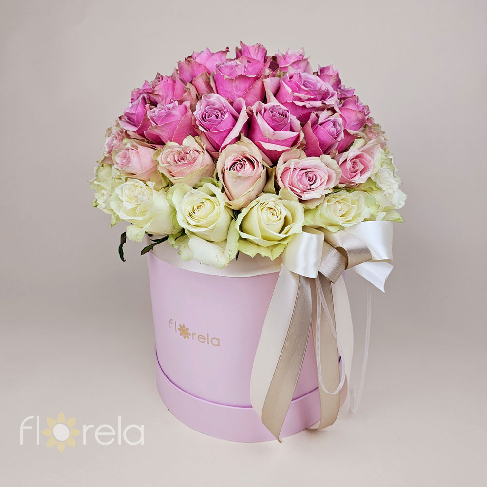 Luksuzna ombre magija u kutiji - Slika 7