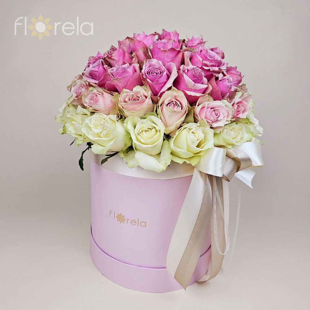 Luksuzna ombre magija u kutiji